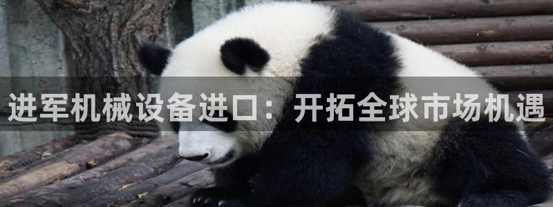 九游会老哥必备的俱乐部交流区