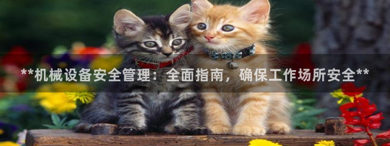 九游会ag私享