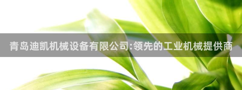 九游会老哥论坛