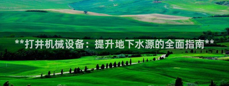 九游会ag老哥