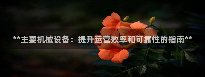 ag九游会论坛
