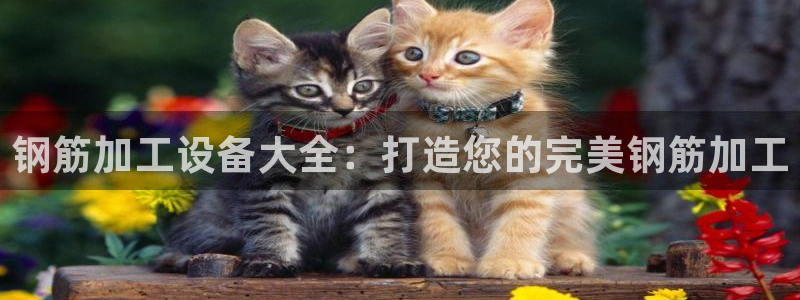 J9九游会国际