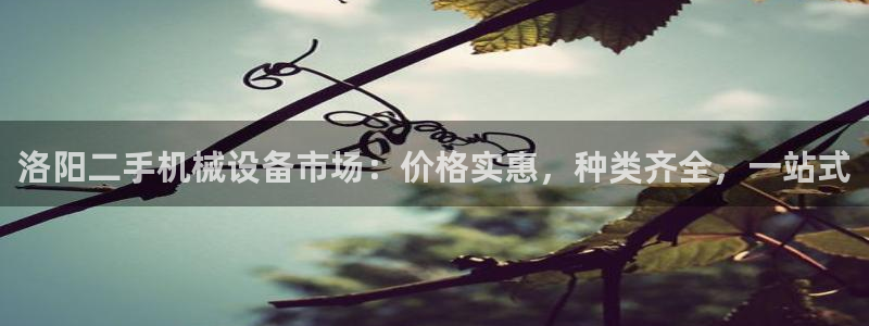 九游会官网真人认证吗安全吗