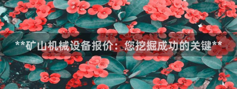 j9九游会怎么样
