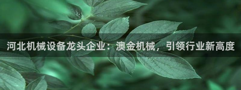 j9九游会老哥俱乐部交流区