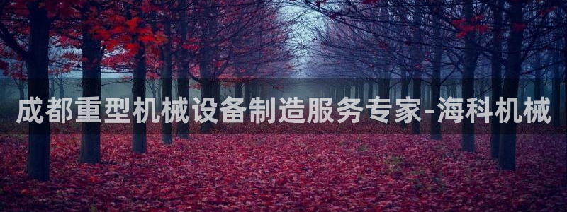 ag九游会集团