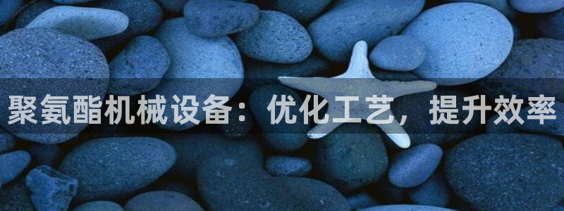 九游会网址在线玩