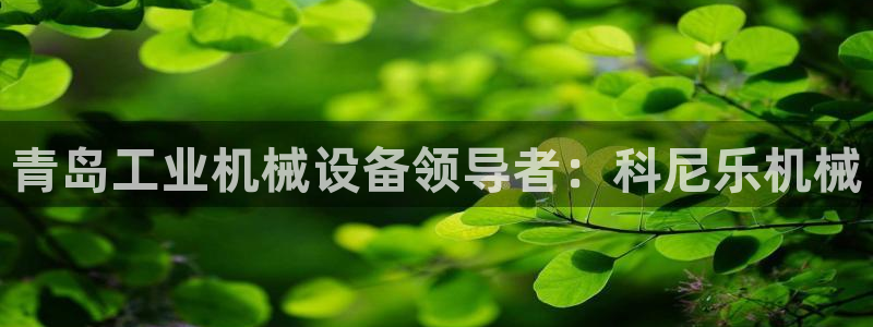 九游会是什么平台
