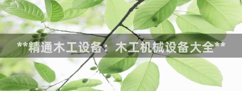九游会进不去了