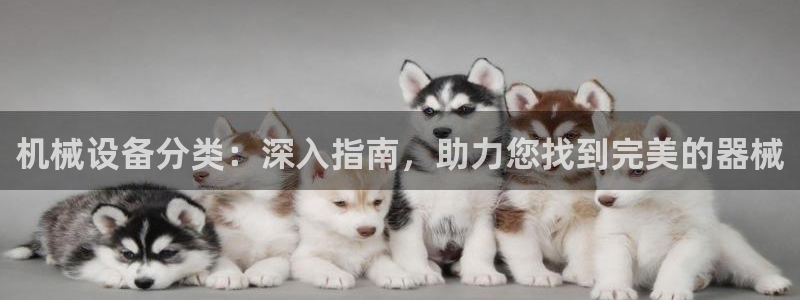 九游会官网真人认证吗是真的吗