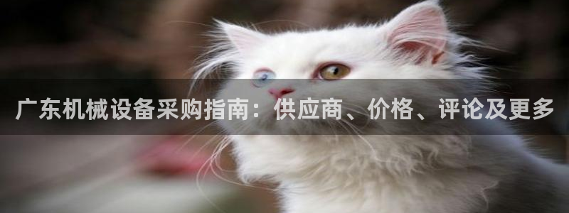 九游会ag真人官网ios