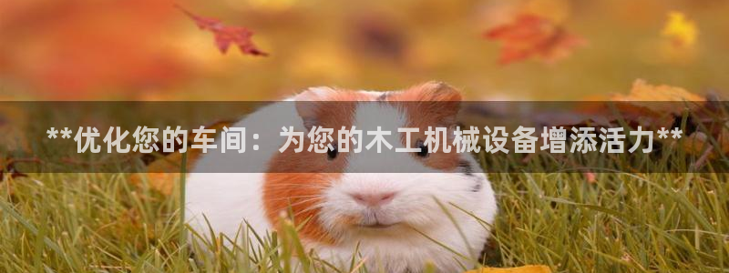 J9九游会老哥俱乐部官方