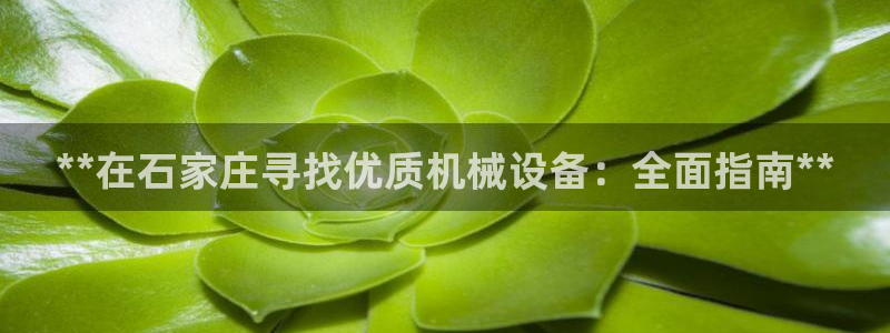 九游会是什么平台
