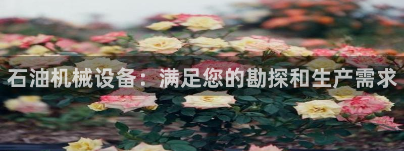j9官网登录入口网页
