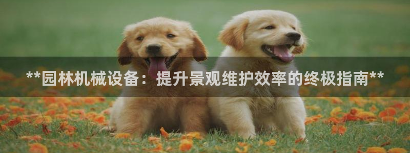 九游会黑吗