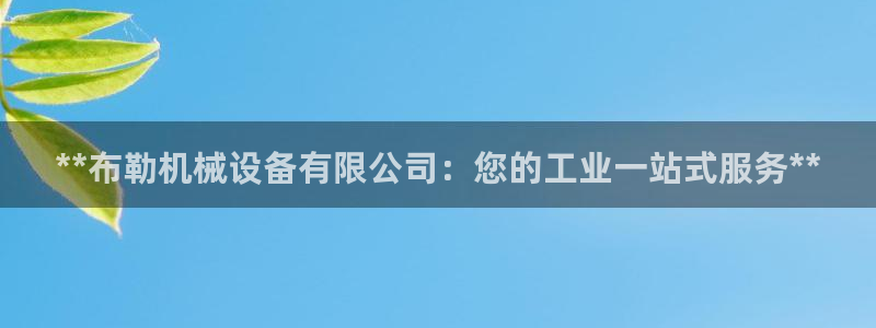 J9九游会老哥