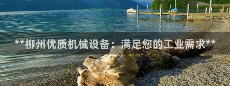 九游会跟ag是怎么一回事
