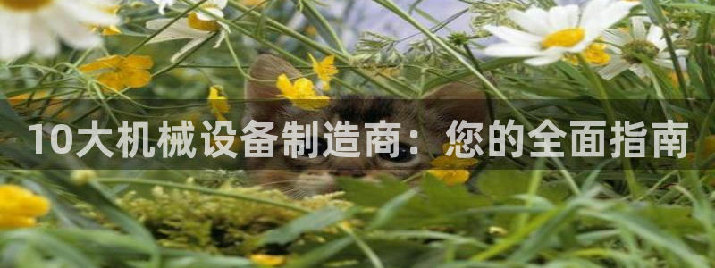 九游会亚洲官网