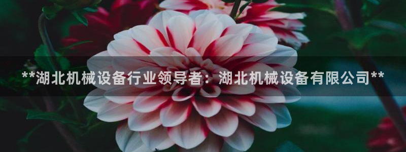 9游会ag