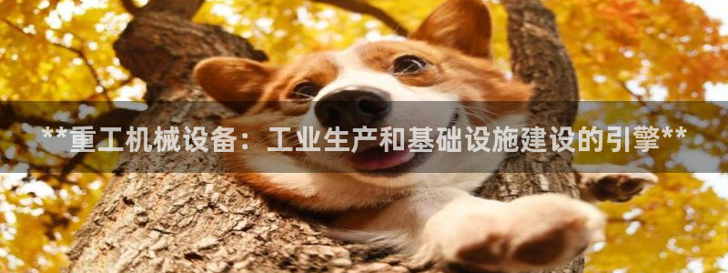 九游会j9官方登录入口