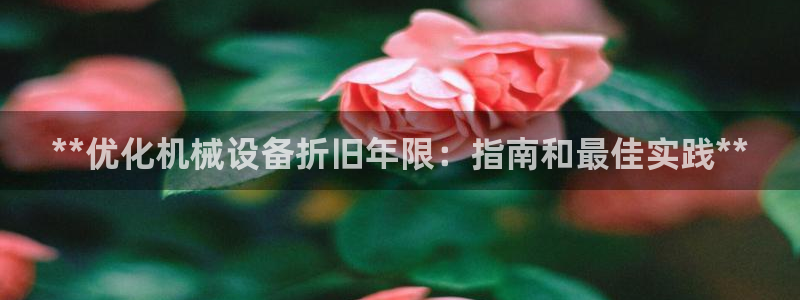 九游j9国际站