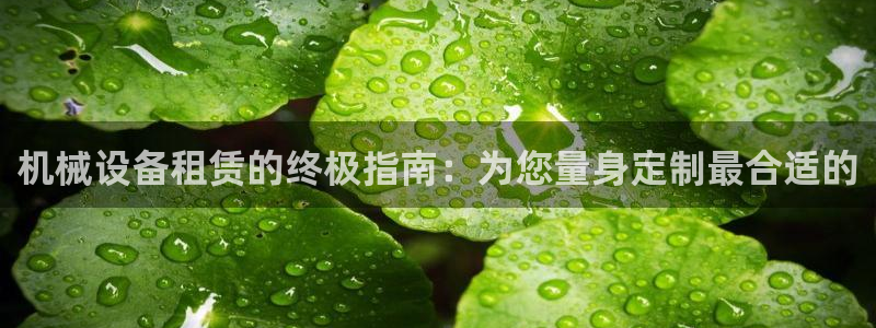 九游会是干嘛的游戏