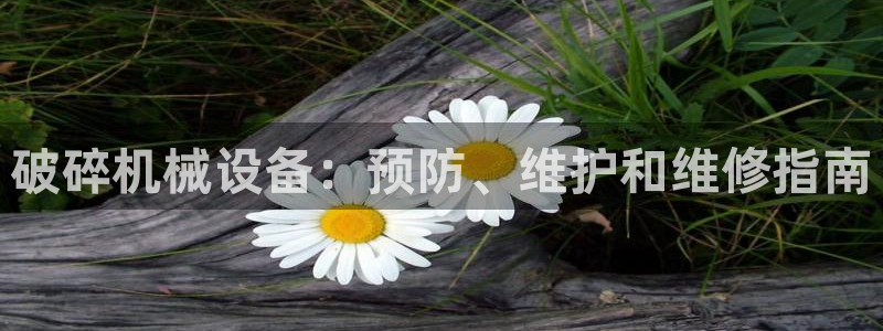 9游会旗舰