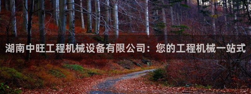 九游会游戏平台