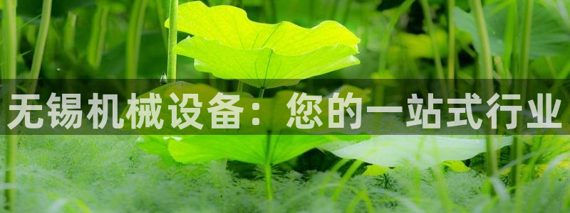 九游会网址最新