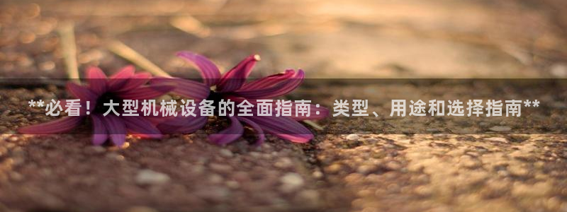 九游会网址登陆