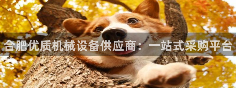 九游会集团菲律宾