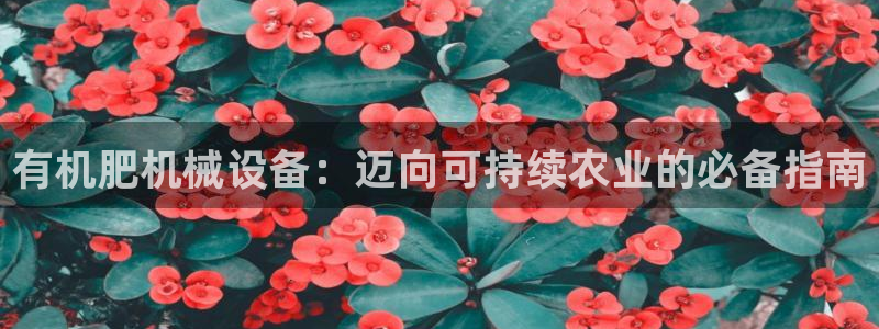 九游j9国际站官方网站