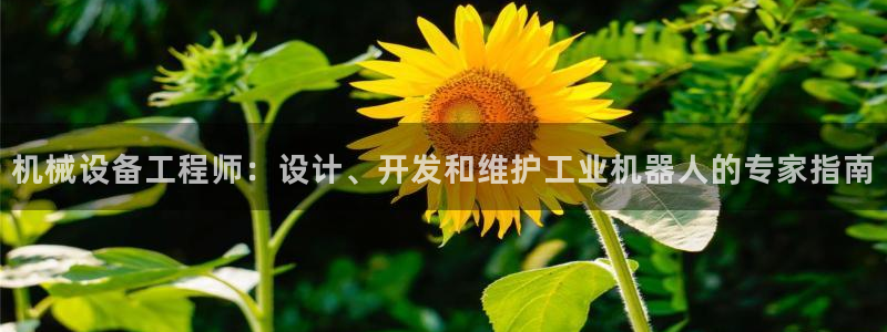 九游J9真人游戏第一品牌