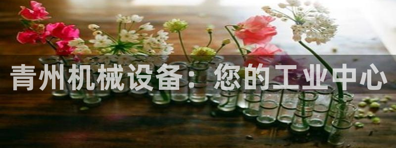 J9九游会官方平台