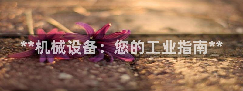 九游会官方网站登录