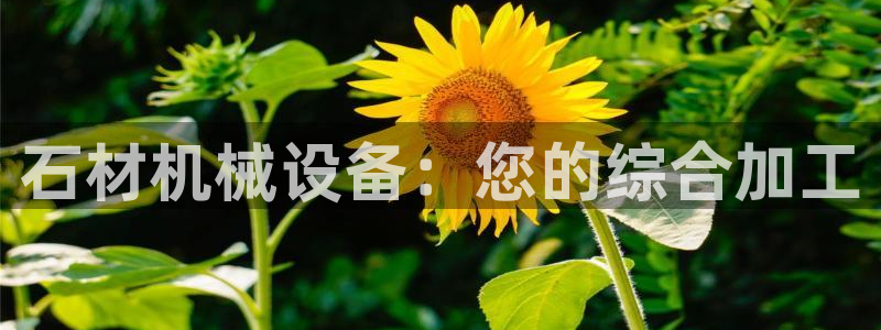 九游会网址是多少