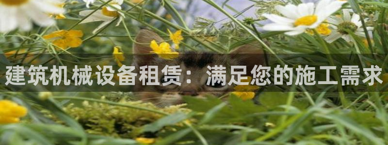 九游会官网登录中心官网