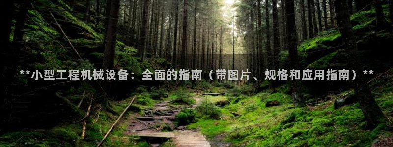 九游会ag平台