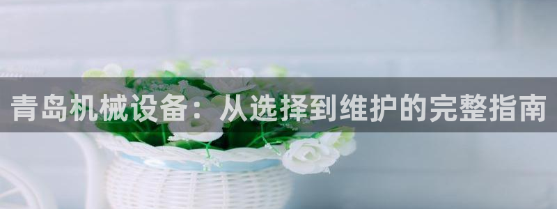 九游会ag老哥俱乐部