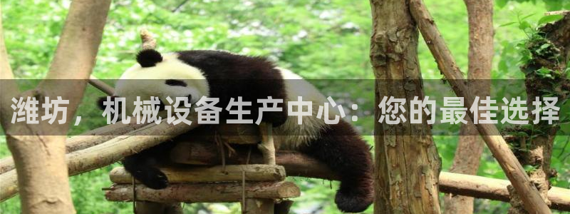 九游会在线官方下载吗