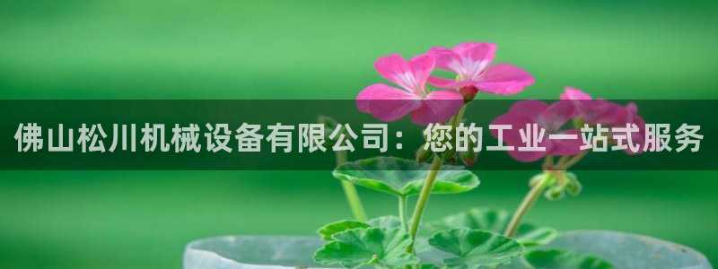 九游会a?g