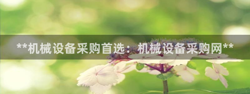 九游j9国际站
