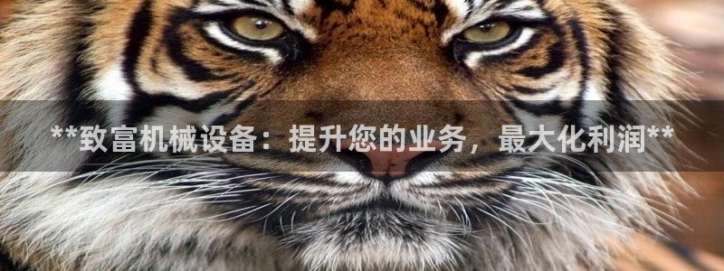 九游会官网入口ag亚洲