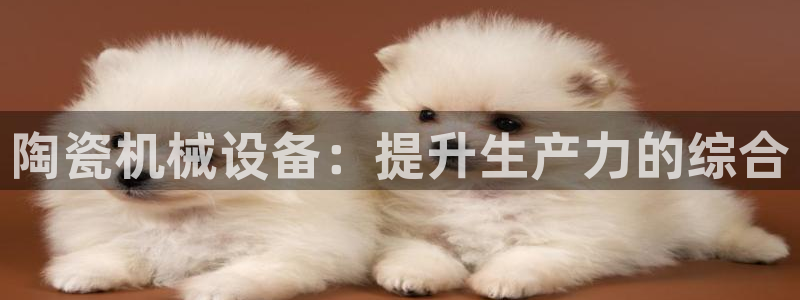 j9九游会app官网下载