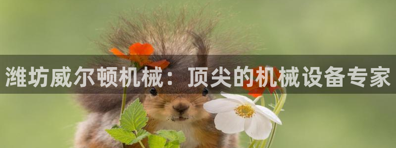 j9九游会app官网下载