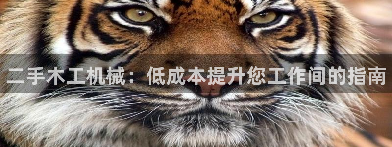 九游会官网进入口
