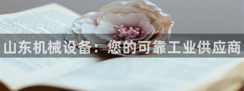 九游会的网址是多少