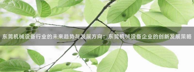 j9九游会网址是什么