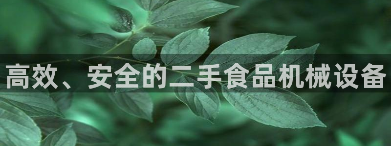 九游会网页