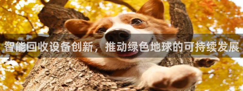 九游会网页